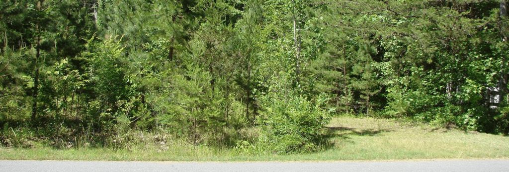 4311-eagle-chase-drive