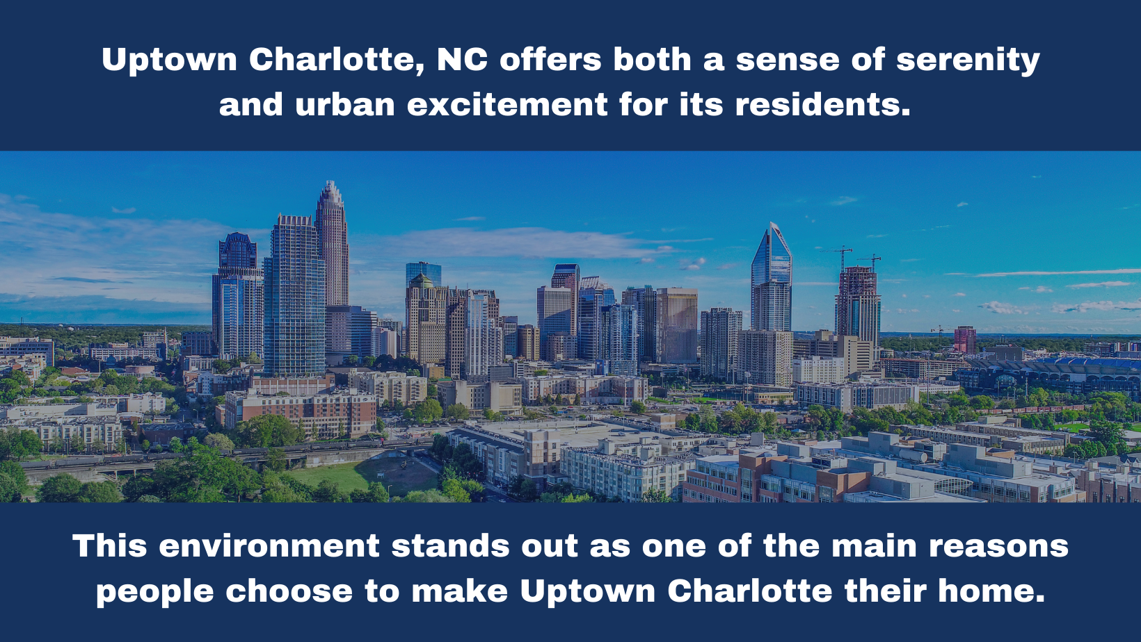 Nancy Braun Real Estate