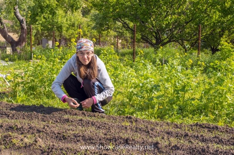 Land vs. Residential or Commercial Real Estate Investment 