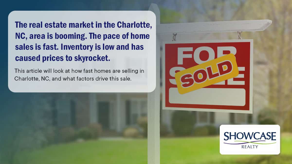 Top Real Estate Agent in Charlotte NC - Superior Home Selling Services in the Queen City 