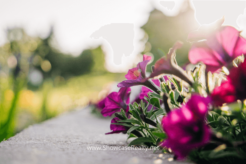 DIY projects are a great way to boost your home's curb appeal, particularly beneficial for Charlotte NC investment properties.