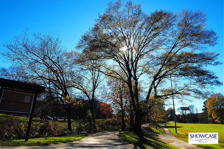 Home For Sale in Myers Park NC Scenic pathway in Myers Park, NC, featuring a tree-lined trail with sunlight filtering through the branches. A green field and a wooden information board are visible, surrounded by autumn foliage under a clear blue sky.